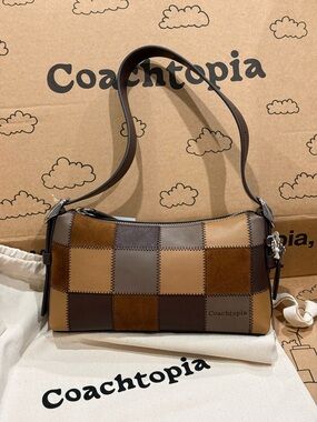 Coach Alter/Ego Small Slouchy Shoulder Bag CFG00